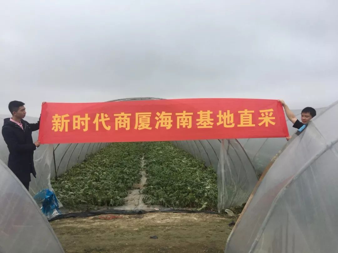 新時(shí)代商廈｜誠(chéng)信315 信用讓消費(fèi)更放心！